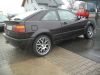 vw_026.jpg
